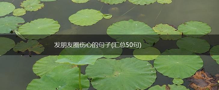 发朋友圈伤心的句子(汇总50句),第1张