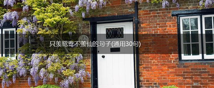 只羡鸳鸯不羡仙的句子(通用30句),第1张