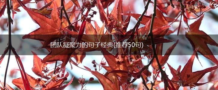 团队凝聚力的句子经典(推荐50句),第1张