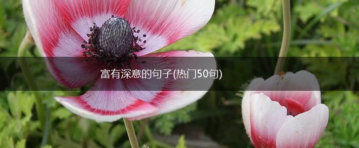 富有深意的句子(热门50句),第1张