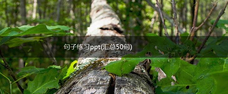 句子练习ppt(汇总50句),第1张