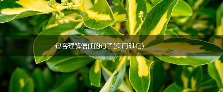 包容理解信任的句子(实用51句),第1张
