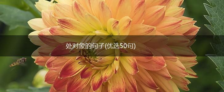 处对象的句子(优选50句),第1张