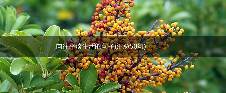 向往平淡生活的句子(汇总50句),第1张