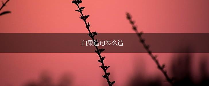 白果造句怎么造,第1张