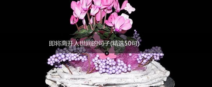即将离开人世间的句子(精选50句),第1张