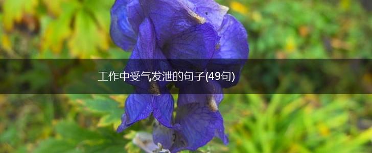工作中受气发泄的句子(49句),第1张