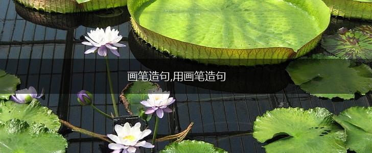 画笔造句,用画笔造句,第1张 画笔造句,用画笔造句,第1张