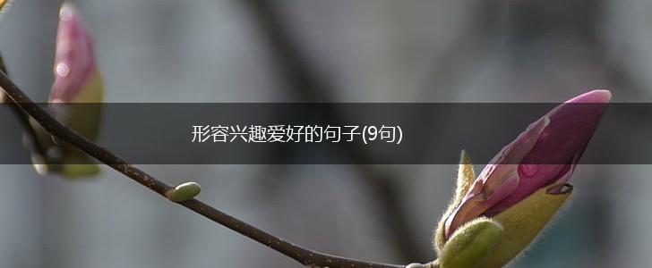 形容兴趣爱好的句子(9句),第1张