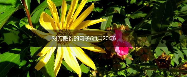 对方敷衍的句子(通用20句),第1张