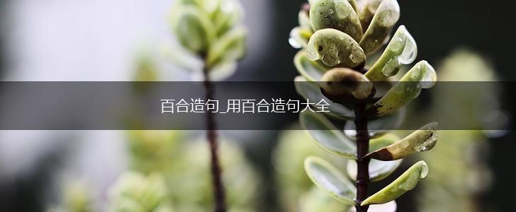 百合造句_用百合造句大全,第1张
