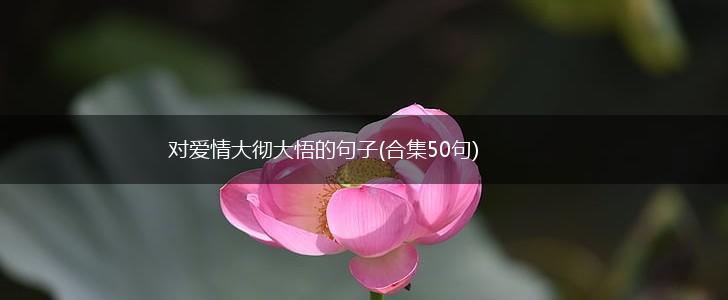 对爱情大彻大悟的句子(合集50句),第1张