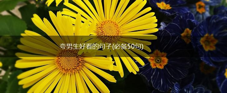 夸男生好看的句子(必备50句),第1张