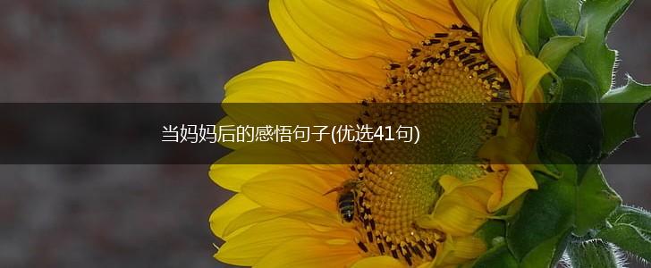当妈妈后的感悟句子(优选41句),第1张
