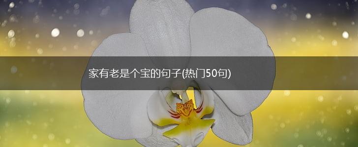 家有老是个宝的句子(热门50句),第1张