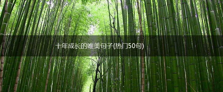 十年成长的唯美句子(热门50句),第1张