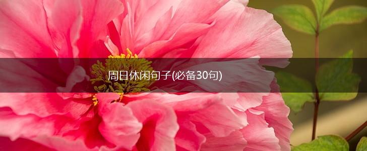 周日休闲句子(必备30句),第1张