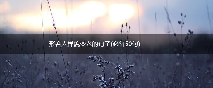 形容人样貌变老的句子(必备50句),第1张