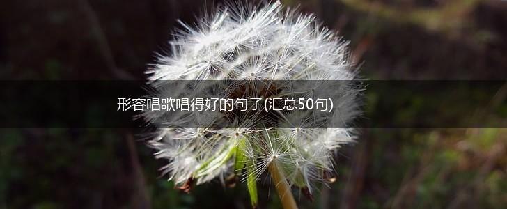 形容唱歌唱得好的句子(汇总50句),第1张