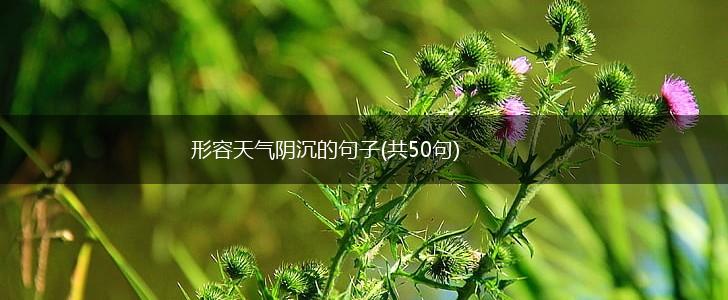形容天气阴沉的句子(共50句),第1张