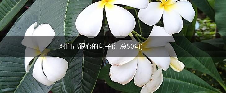 对自己狠心的句子(汇总50句),第1张