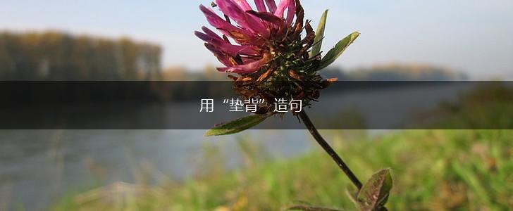 用“垫背”造句,第1张