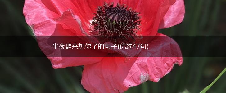 半夜醒来想你了的句子(优选47句),第1张