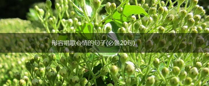 形容唱歌心情的句子(必备20句),第1张