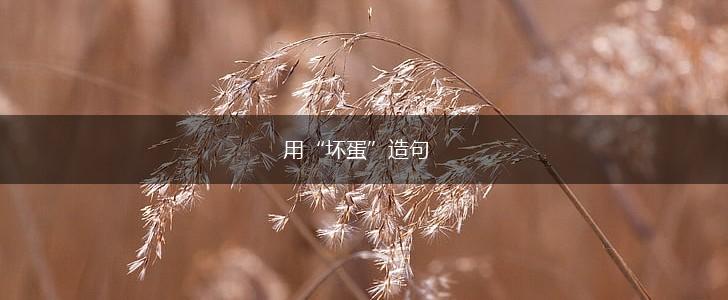 用“坏蛋”造句,第1张 用“坏蛋”造句,第1张
