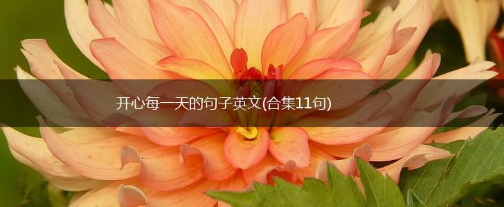 开心每一天的句子英文(合集11句),第1张