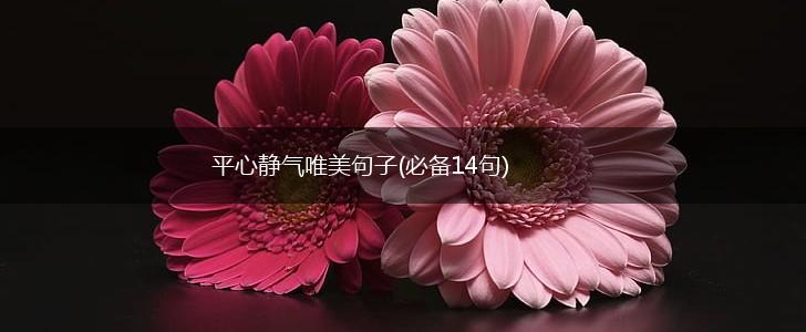 平心静气唯美句子(必备14句),第1张