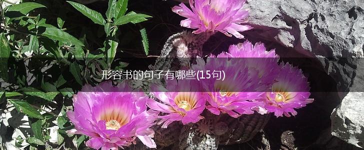 形容书的句子有哪些(15句),第1张
