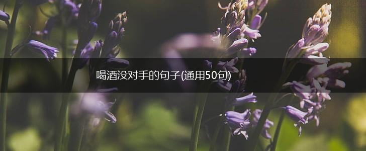 喝酒没对手的句子(通用50句),第1张