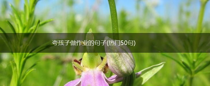 夸孩子做作业的句子(热门50句),第1张