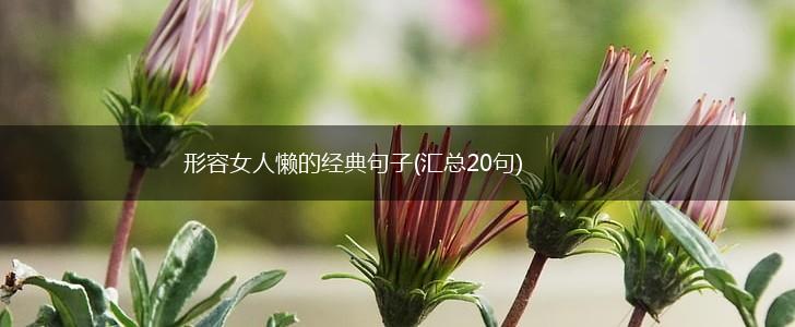 形容女人懒的经典句子(汇总20句),第1张