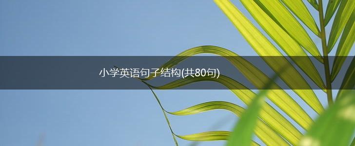 小学英语句子结构(共80句),第1张