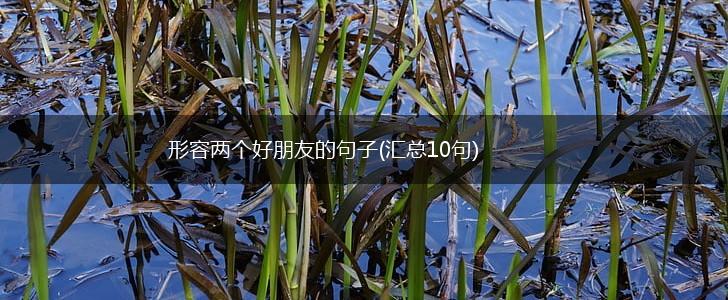 形容两个好朋友的句子(汇总10句),第1张