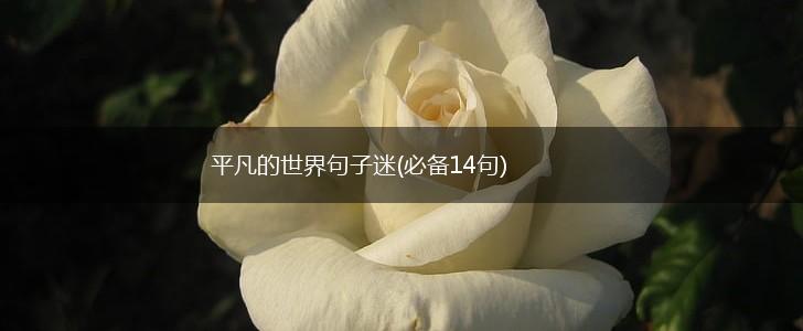 平凡的世界句子迷(必备14句),第1张