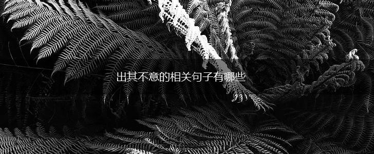 出其不意的相关句子有哪些,第1张