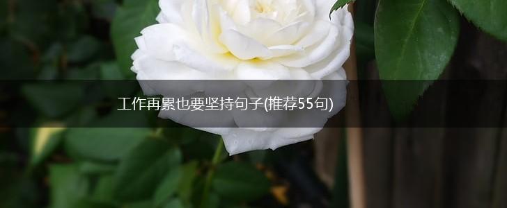 工作再累也要坚持句子(推荐55句),第1张