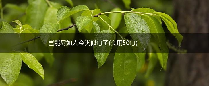 岂能尽如人意类似句子(实用50句),第1张