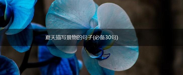 夏天描写景物的句子(必备30句),第1张