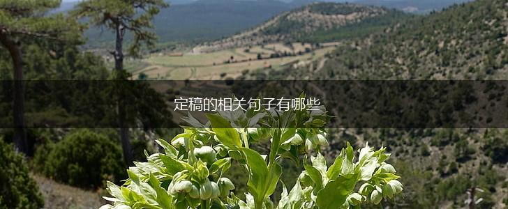 定稿的相关句子有哪些,第1张