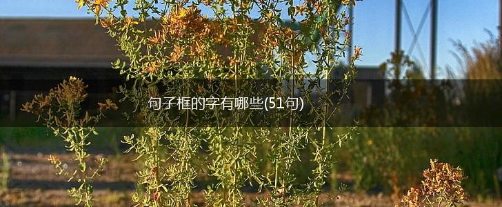 句子框的字有哪些(51句),第1张