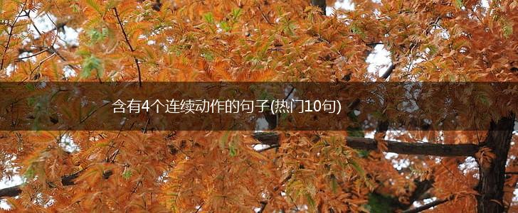 含有4个连续动作的句子(热门10句),第1张