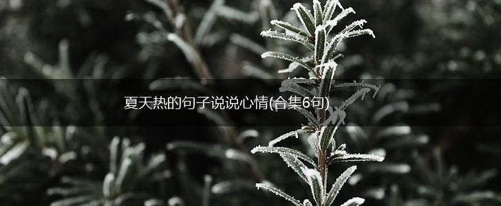 夏天热的句子说说心情(合集6句),第1张