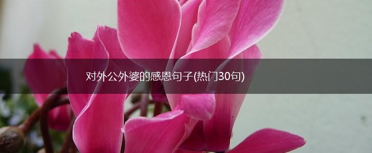 对外公外婆的感恩句子(热门30句),第1张