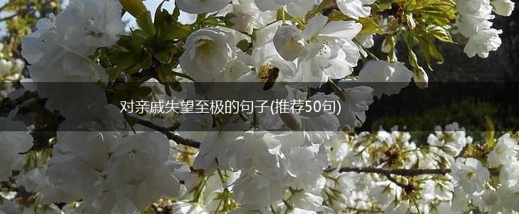 对亲戚失望至极的句子(推荐50句),第1张