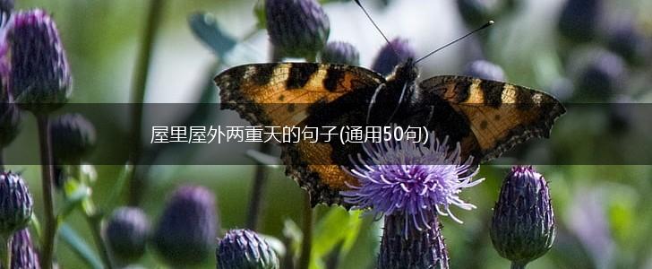 屋里屋外两重天的句子(通用50句),第1张