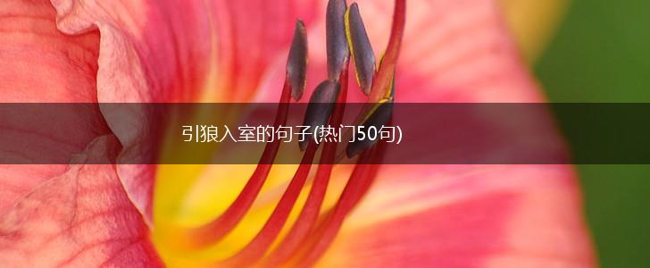 引狼入室的句子(热门50句),第1张